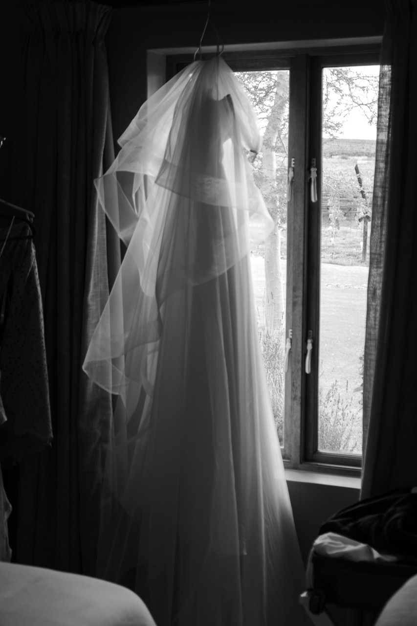 Wedding celebration detail