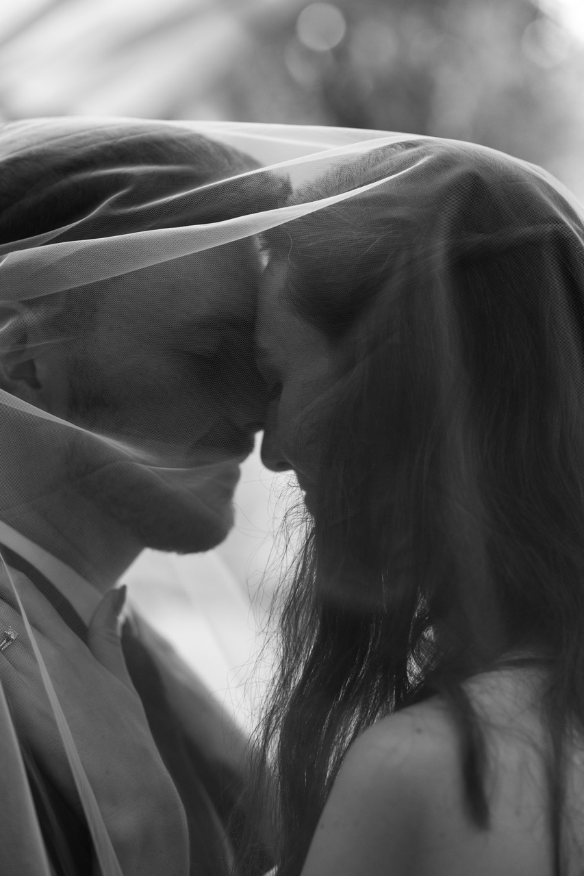 Josh and Robyn - bride with horse