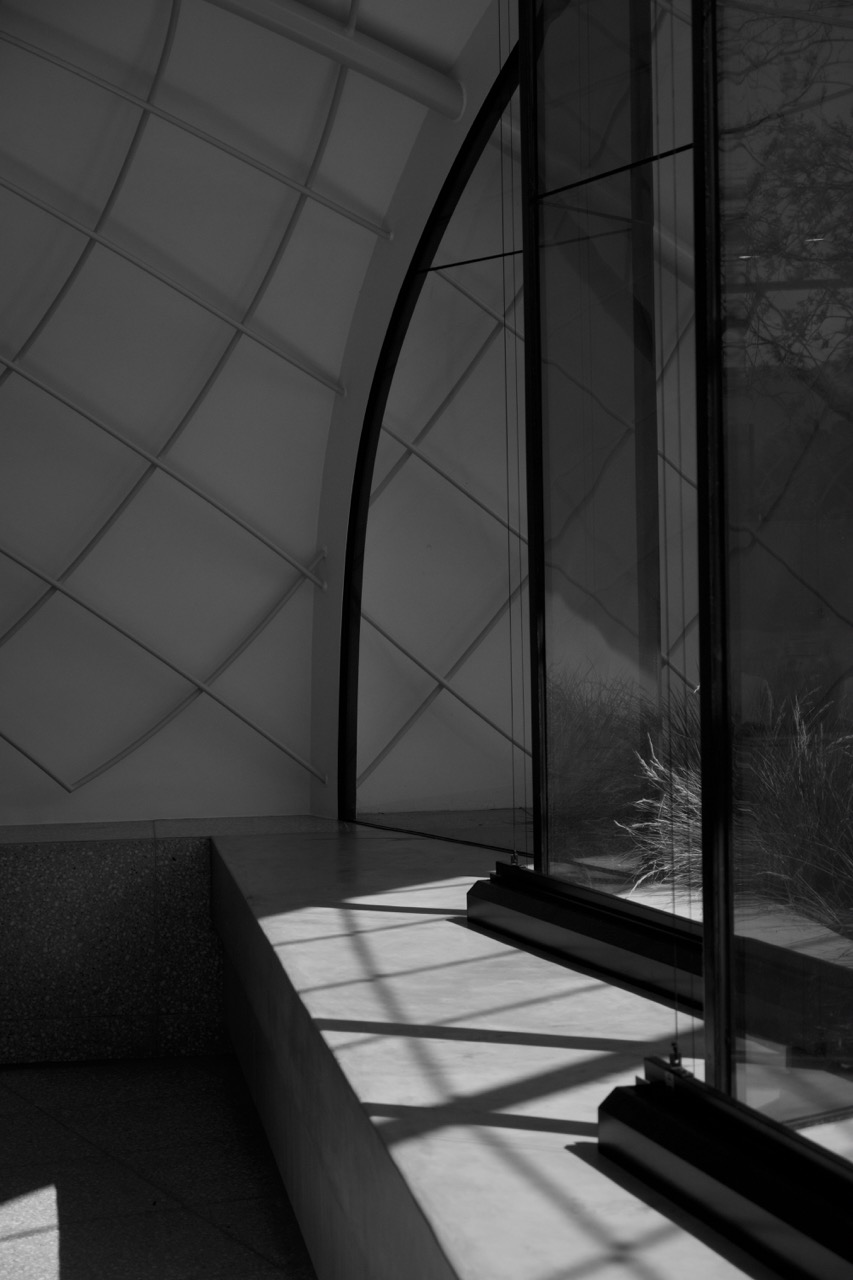 Contemporary lifestyle photography featuring natural lighting and artistic composition techniques